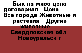 Бык на мясо цена договарная › Цена ­ 300 - Все города Животные и растения » Другие животные   . Свердловская обл.,Новоуральск г.
